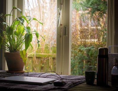 Las plantas pueden cambiar tu estado de ánimo. UNSPLASH/S. Brandsma