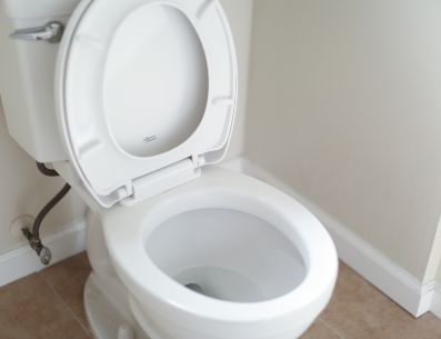 Si no puedes instalar un bidet completo, entonces puedes conseguir uno adaptable para tu taza del baño. UNSPLASH/G. Trovato