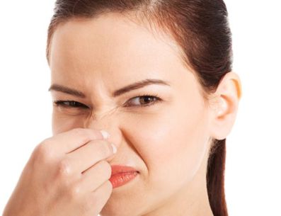 Las plantas aromáticas en casa ayudan a eliminar los malos olores. PINTEREST/blog.flota.es