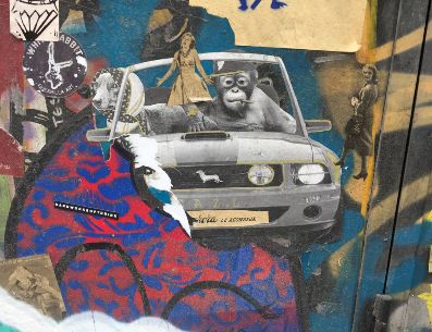 El collage se presenta como una forma y experiencia única para decorar nuestros espacios de manera personalizada y única a la par de la creatividad y el arte. UNSPLASH /Hannes Richter