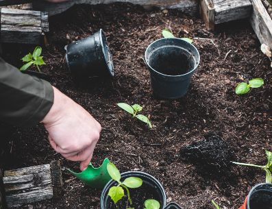 Los trabajos que realices en tu jardín ayudan no sólo a la estética del espacio, también generan una sensación de satisfacción personal.Jonathan Kemper/ Unsplash.