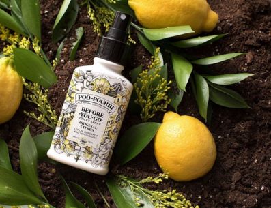 Disfraza los olores y acude al baño sin ningún problema con estos aromatizantes. Pinterest/BuzzFeed