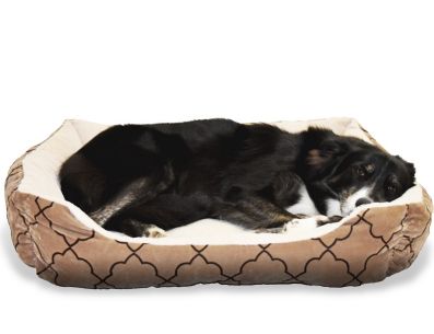 Nuestras mascotas son un miembro de nuestra familia, y es importante que tengan un lugar óptimo, limpio y fresco para descansar. PIXABAY/ 4109299