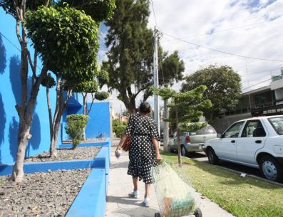 Los árboles planeados en las aceras ofrecen ventajas al medioambiente local. Espacios