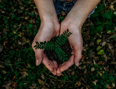 Pequeñas acciones individuales ayudan de forma conjunta a mejorar la calidad del planeta. Noah Buscher/Unsplash