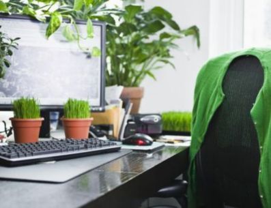 Las plantas en la oficina pueden tener otra función además de la decorativa. PINTEREST/ Hogarmanía
