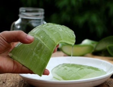 Alóe Vera. PINTEREST/ Cocina Delirante