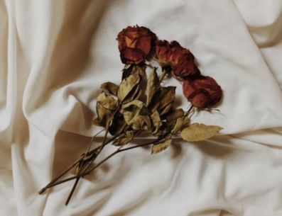Rosas marchitas. PINTEREST/ angel