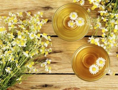 Hay una gran variedad de plantas medicinales que pueden actuar contra los síntomas de la ansiedad. PINTEREST/ Everblossom • Nature-Based Self-Care