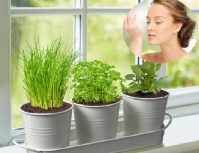 Tener tus propias plantas aromáticas en tu casa, además de hacerla lucir fresca y linda, le dará un ambiente natural. PINTEREST/ Etsy/ AmericaTv.com