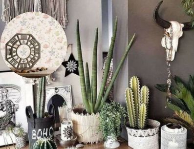 Según la filosofía oriental el Feng Shui, dependiendo de las propiedades de las plantas estas funcionan como protectoras, renovando el aire y las energías. PINTEREST/ LoveToKnow