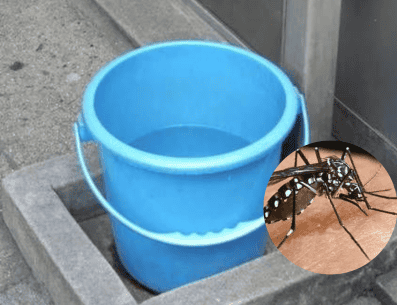 Es de suma importancia que para evitar que los moquitos infectados con dengue propaguen el virus se evite a toda costa mantener recipientes con agua acumulada por las lluvias. PINTEREST/ semanariobaluncanan.com