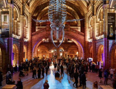 En esta exposición se hace honor a diferentes personalidades que con sus aportaciones al mundo de la ciencia han logrado importantes desarrollos tecnológicos en diferentes áreas, entre ellas, para el bien de la medicina. Museo de Historia Natural/ https://www.nhm.ac.uk/