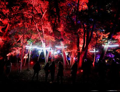 La gente visita la exhibición "Secret Garden" en el Jardín Botánico Carlos Thays, hogar de más de mil 500 especies de plantas en Buenos Aires. AP /Natacha Pisarenko.