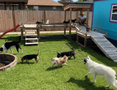 Crea de manera fácil un espacio de diversiones para tus perros en en un rincón de tu hogar. PINTEREST/ Emma Biagioli