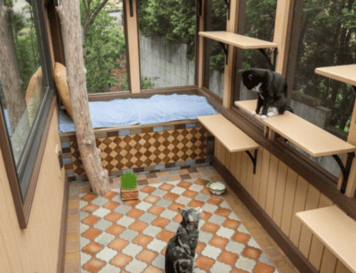 Consiente a tus gatos con un Catio, un espacio dedicado especialmente para él. PINTEREST/ realgardensgrownatives.com