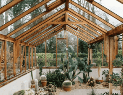 El invernadero casero o profesional no es más que un tipo de construcción sustentable que ayuda en la siembra y cultivo de diversas plantas. PINTEREST/ centsationalstyle.com