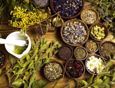 Aunque las plantas medicinales son una excelente alternativa como medicina natural para aliviar algunas molestias de salud, es recomendable hablar con un profesional de la salud antes de usar plantas medicinales, especialmente si estás tomando medicamentos o tienes condiciones médicas preexistentes. PINTEREST/ Plantei Garden Center | Jardinagem