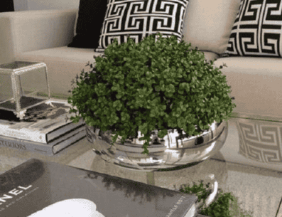 Las plantas artificiales son una opción muy popular a las plantas naturales en la decoración del hogar y los espacios comerciales. PINTEREST/ Viva Decora