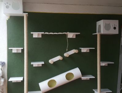 Para hacer un gimnasio para gatos en casa no es necesario gastar mucho dinero, simplemente se necesita creatividad y algunos materiales que se pueden conseguir en cualquier tienda de bricolaje. Faraón Cats Cali