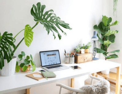 Tener una oficina ecológica no sólo es bueno para el medio ambiente, sino que también es bueno para ti, esto debido a que está demostrado que tener una oficina más sostenible y limpia mejora tu creatividad, productividad y reduce el cansancio. PINTEREST/ ecoportal.net