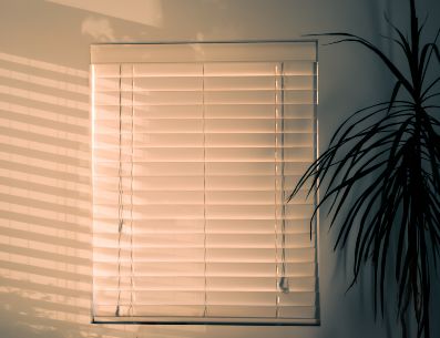 Plantas y persianas son una excelente combinación para mantener tu espacio fresco. Steve Johnson/Unsplash