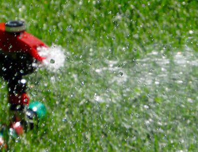 Los aspersores de impacto son los más comunes por su fácil instalación, uso y mantenimiento para casas con un jardín de tamaño mediano. Anthony Lee/Unsplash