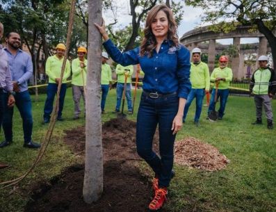 Los árboles que prevé el Plan tienen entre 8 y 10 años de desarrollo. ESPECIAL / GOBIERNO DE GUADALAJARA
