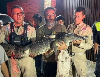 El operativo se realizó el pasado sábado alrededor de las 21:00 horas con apoyo de Protección Civil y Bomberos de Tonalá. ESPECIAL/Gobierno de Tlajomulco