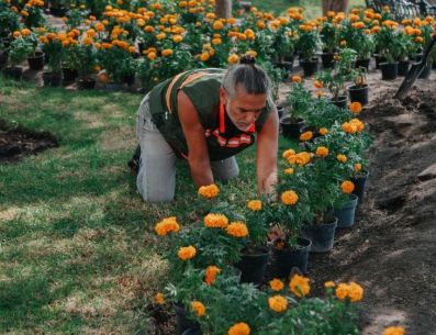 Se invitó a las y los visitantes al Centro Histórico a cuidar las flores, no pasarlas ni arrancarlas. ESPECIAL/Gobierno de Guadalajara