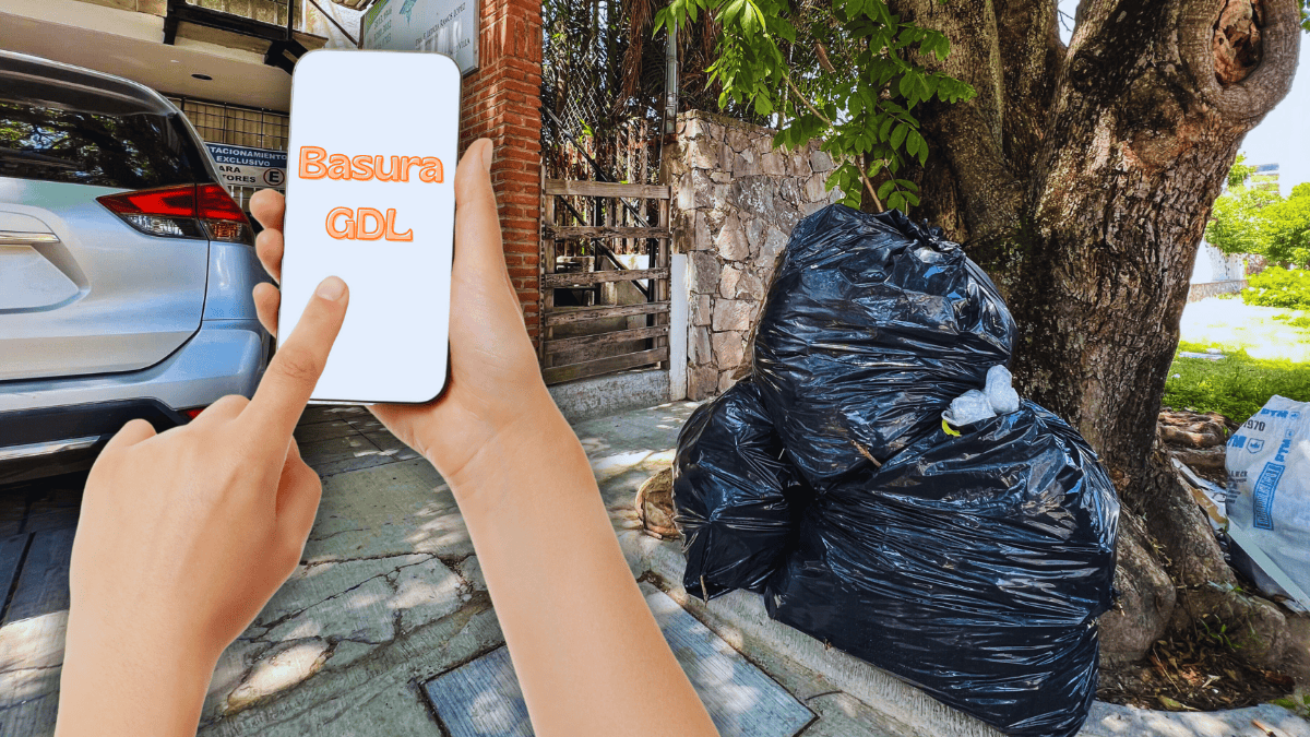 ¿Cómo funcionará la app para rastrear los camiones de basura en ...