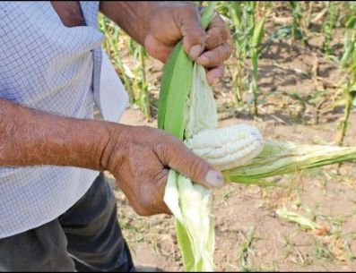 La ventanilla para registrarse en Jalisco estará abierta hasta el 31 de diciembre. SUN / ARCHIVO