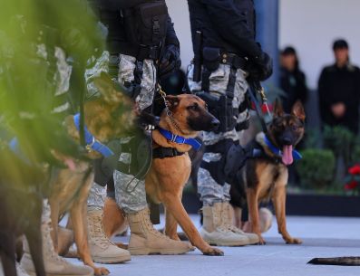 Autoridades de Zapopan reportan que los perros donados han incautado toneladas de fentanilo. ESPECIAL