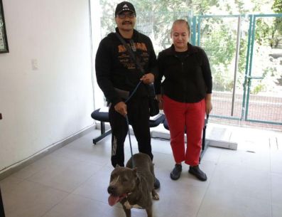 Como parte de los requisitos, se solicita comprobante de domicilio, identificación oficial (INE) y fotografías de la fachada del domicilio y del área donde vivirá la mascota. ESPECIAL / GOBIERNO DE GUADALAJARA