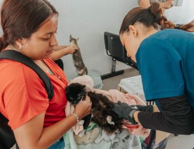 También piden esterilizar a las mascotas lo que ayuda a controlar la natalidad y evitar diversos tipos de cánceres. ESPECIAL/Gobierno de Guadalajara