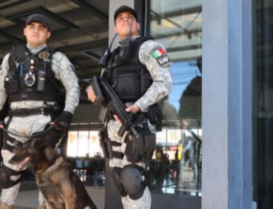 El Escuadrón Táctico Canino y el Colectivo Alas de Libertad realizó un operativo de difusión de información en las inmediaciones de las centrales de autobuses del municipio. ESPECIAL