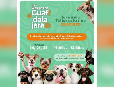 El Gobierno de Guadalajara reafirma su compromiso de promover la cultura de respeto y protección hacia los animales. ESPECIAL