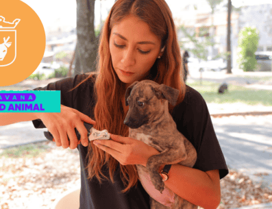 Vacunar a una mascota no solo mejora su calidad de vida, sino que también te permite disfrutar de su compañía por mucho más tiempo. ESPECIAL/ Gobierno de Zapopan