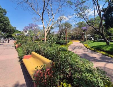 Ciudadanos afirman que, tras su renovación, el parque luce más limpio, amplio y con mejores espacios verdes. EL INFORMADOR/O. González