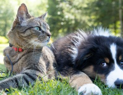 La modelo publicó un mensaje en su cuenta de Instagram en donde reaccionó a dichas menciones. EFE / AFP / ARCHIVO