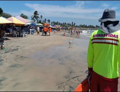 La Unidad Estatal de Protección Civil y Bomberos de Jalisco (UEPCBJ) informó sobre la llegada de más de 712 mil visitantes a playas, centros recreativos y eventos religiosos. CORTESÍA