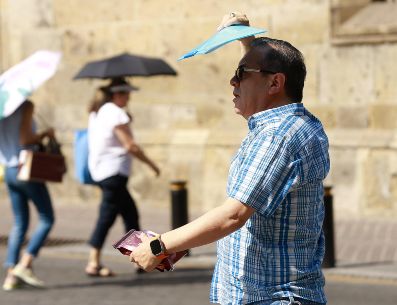 De acuerdo con datos de la Jefatura de Epidemiología y Medicina Preventiva, hasta la semana epidemiológica 11 de 2026, se han registrado 269 atenciones por infecciones intestinales en unidades de salud municipales. EL INFORMADOR