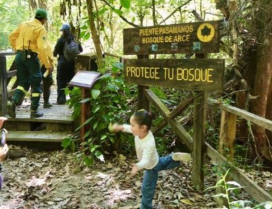 El sendero se conforma por cinco estaciones que muestran información de este importante ecosistema de Jalisco; tiene características únicas en cuanto a biodiversidad. ESPECIAL