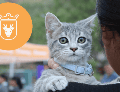 Vacunar a una mascota no solo mejora su calidad de vida, sino que también te permite disfrutar de su compañía por mucho más tiempo. ESPECIAL/ Protección Animal Zapopan