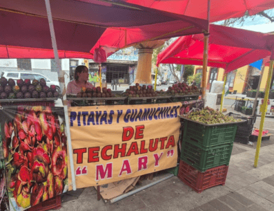 ¡Aún hay pitayas! Invitan a visitar la Feria en el Centro de Guadalajara