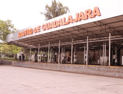 Rastro de Guadalajara es el único centro de matanza en el estado en conseguir tal distinción. GOBIERNO DE GUADALAJARA