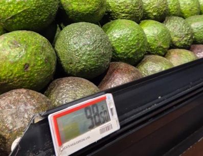 En junio del 2026, el aguacate fue el producto con mayor incidencia al alza con un incremento mensual de 24.53 por ciento. EL INFORMADOR/J. Velazco.