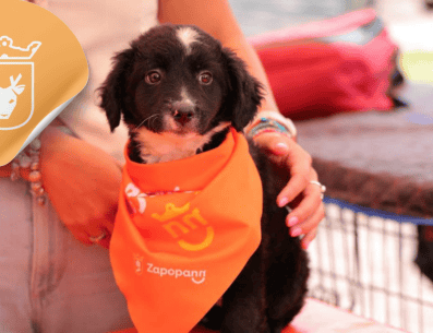 Vacunar a una mascota no solo mejora su calidad de vida, sino que también te permite disfrutar de su compañía por mucho más tiempo. ESPECIAL/ Facebook/ Protección Animal Zapopan/ Juan José Frangie