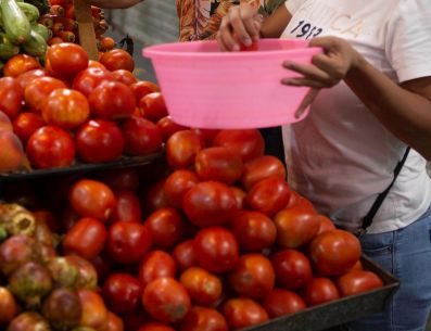 La inflación de septiembre disparó el costo del jitomate más de un 22 % en México; revisa dónde encontrarlo barato en Guadalajara. EL INFORMADOR / ARCHIVO