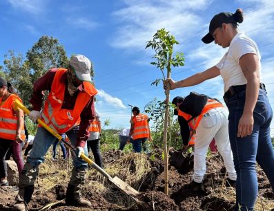 El Gobierno de Tlajomulco, encabezado por el presidente Gerardo Quirino, busca que la cultura de paz trascienda las palabras y se refleje en acciones que mejoren el entorno y fortalezcan la participación comunitaria. ESPECIAL
